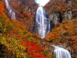 Autumn-Falls-1-1140x855.jpg