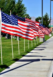 Flags.jpg