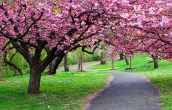 Springtime.jpg