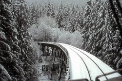 snowtrain4.jpg