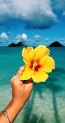 ocean-and-beach-tumblr-blog-photo-aesthetic-pinterest-with-summer.jpg