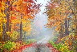 Fall_Foliage_Photography_Tips.jpg