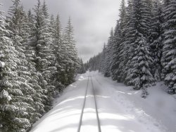 train-snow-dsz.jpg