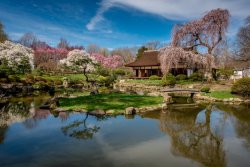 shofuso-japanese-house-and-garden-3144c43c7c6fed8a.jpg