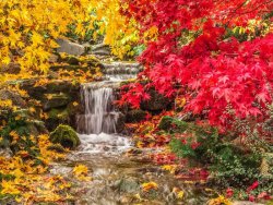 autumn-landscape05.jpg