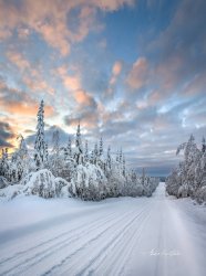 finland 7.jpg
