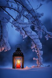istockphoto-628319844-170667a.jpg