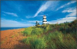 pei.jpg