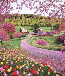 springt 8.jpg