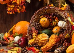SS_harvest-cornucopia-560x500.jpg