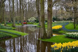 Keukenhof-Lisse-Places-to-visit-in-the-Netherlands.jpg
