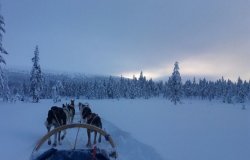 snow-3114601__480-3-938x600.jpg