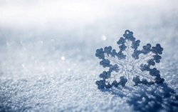 snowflake-ice-snow-winter-720P-wallpaper.jpg