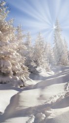 Winter-thick-snow-trees-forest-sun-rays_iphone_1080x1920.jpg