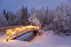 bridge-decorated-with-christmas-lights-jeff-schultz.jpg