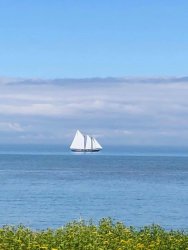 bluenose 2.jpg bluenose 2.jpg
