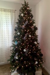 halloween-tree-1.jpg halloween-tree-1.jpg