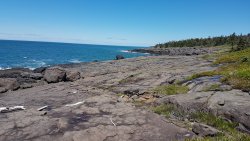 whale cove.jpg