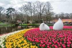Keukenhof-gardens-Netherlands-tulips-and-sculpture-pond.jpg