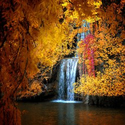 fall-gold-and-red-waterfall.jpg