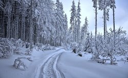 winter-4398514_960_720.jpg