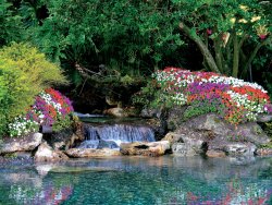 viewes-waterfall-trees-flowers.jpg