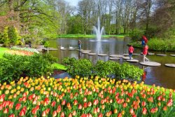 bigstock-Pond-and-flowering-tulips-at-K-112865387.jpg