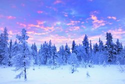 winter_time_with_a_lot_of_fun_1.jpg