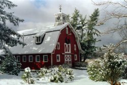 barn.jpg