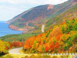 fall.jpg