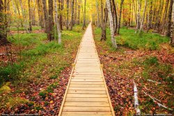 trail-9824.jpg