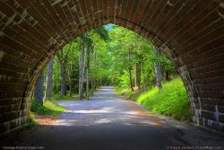 carriage-road-1439.jpg