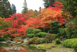JapaneseParkGarden20141018-27.jpeg