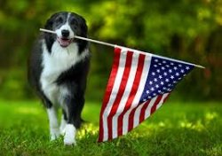 woof.jpg