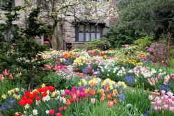 Top-10-music-for-Spring-Mar20.jpg