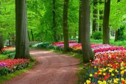Washingtons-Most-Beautiful-Spring-Parks-e1481562526840.jpg