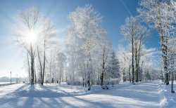 bigstock-Beautiful-winter-landscape-wit-26902766.jpg