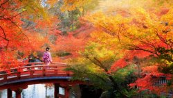 autumn-in-japan-brifge-hyoto-e1500977698186-1280x720.jpg