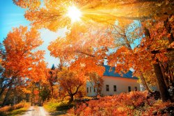 21-Spots-for-Breathtaking-Fall-Foliage-in-New-York-State.jpeg