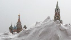 37.si.jpg