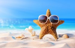 beach-summer-vacation-sand-starfish-seashells-sunglasses-mor.jpg