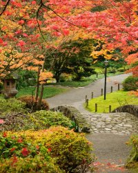 Washington-Park-Arboretum_GettyImages-635835982.jpg