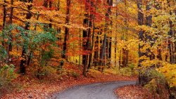 Things-to-Do-Fall-in-Nova-Scotia.jpg