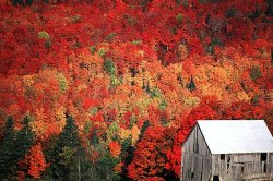 fall.jpg
