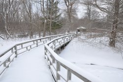 Boardwalk-Matthaei.jpg