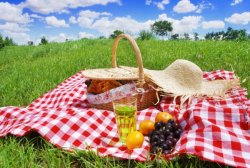 5-Ways-a-Summer-Picnic-Supports-Your-Health.jpg
