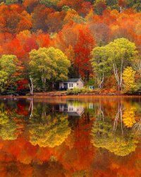 fall.jpg