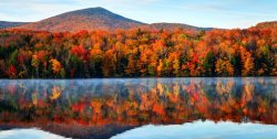 fall-foliage-map-1599672805.jpg