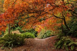 Seasons_Autumn_454281.jpg