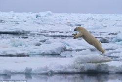 leap.jpg